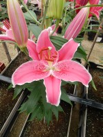 [4294 Mumbai DJ No02.JPG]